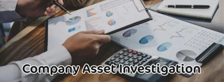 Asset Verification