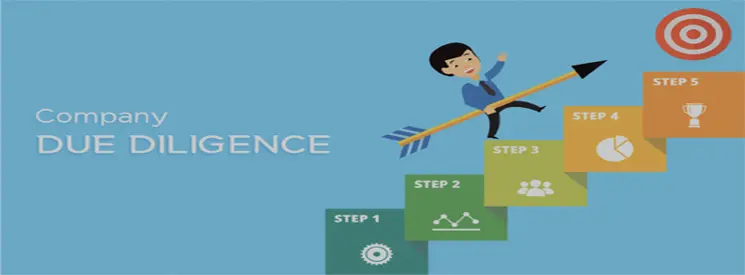 Due Diligence Investigation Services